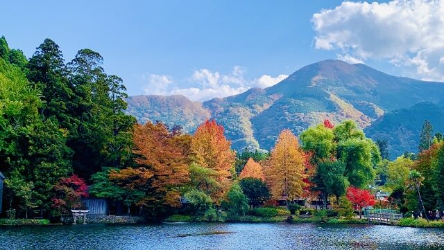 由布岳と紅葉