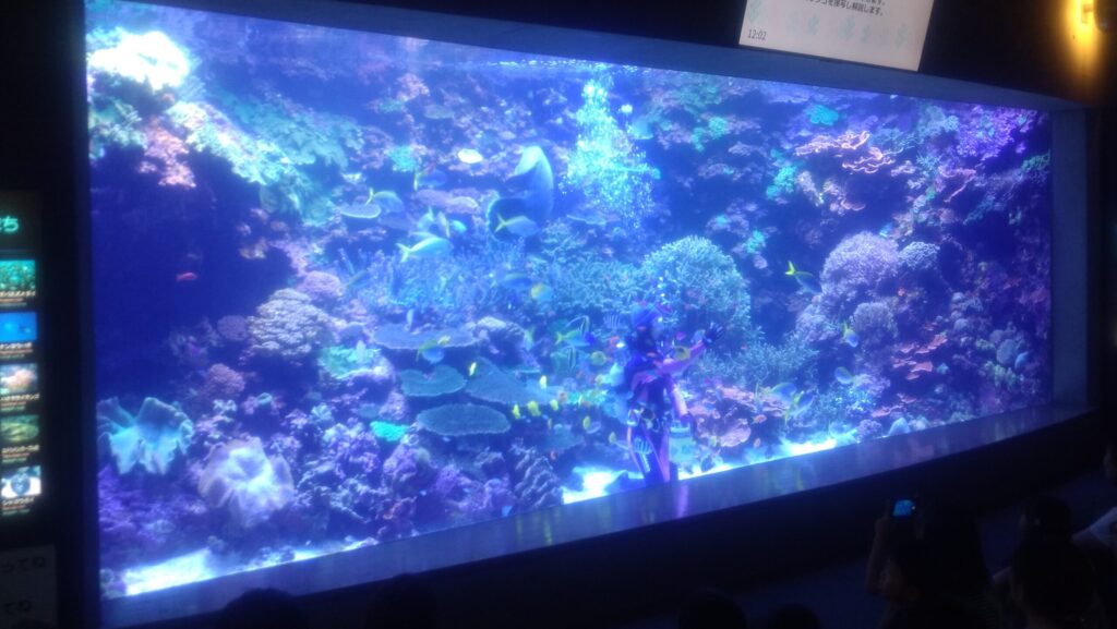 うみたまごの水槽