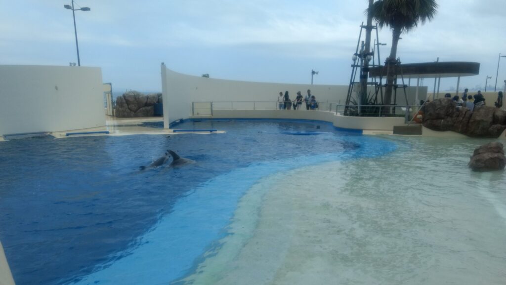 うみたまごのイルカ